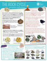 rock cycle factsheet